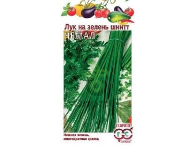 Лук шнитт Чемал на зелень 0.5г (Аэлита)