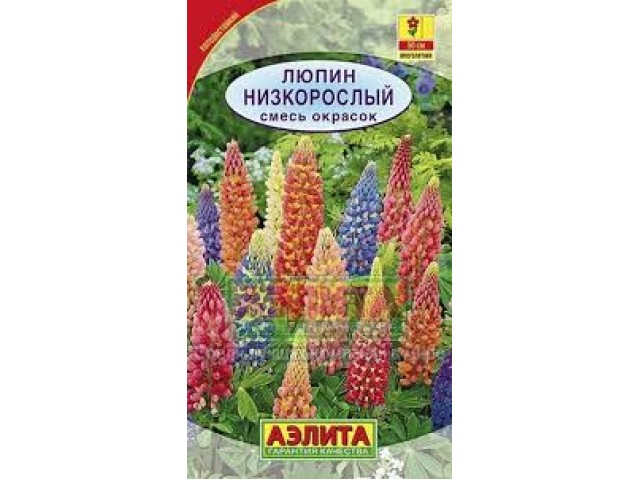 Люпин Низкорослый смесь окрасок 15шт (Аэлита)