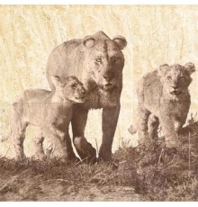 Панно Селлинг 01 600х600 мм