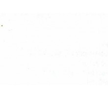 Ламинат Рerspective UF1303 Дуб белый лакированный