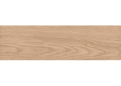 Плинтуc QS 00915 (Eligna U 915) 58х22х2400мм