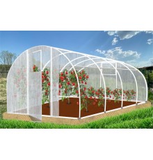 Теплица Кормилица 4х3х2,1м окрашенная, 2 двери