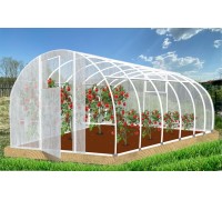 Теплица Кормилица 6х3х2,1м окрашенная, 2 двери