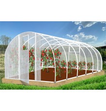 Теплица Кормилица 6х3х2,1м окрашенная, 2 двери