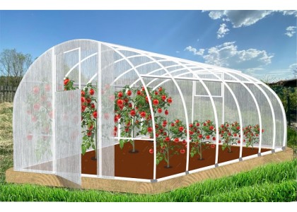 Теплица Кормилица 6х3х2,1м окрашенная, 2 двери