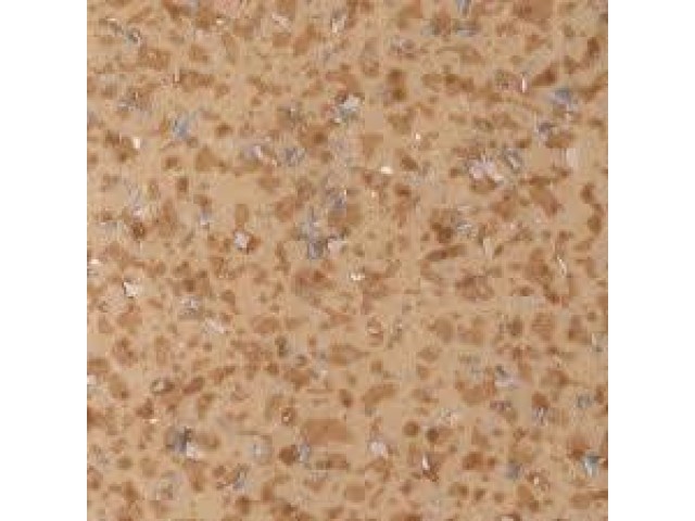 Линолеум гетероген Acczent MINERAL AS 100011 3м