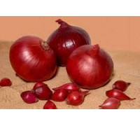 Лук севок Кармен 0,45кг фасованный