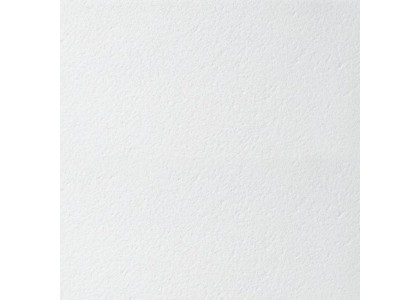 Потолочная панель RETAIL NG Board 600х600х12мм (7,2м2/20шт)  