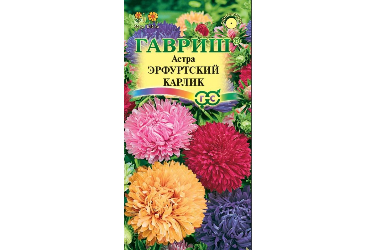 Астра Эрфуртский карлик смесь окрасок 0,3г (Гавриш) в Центральной Стройбазе  купить по низкой цене