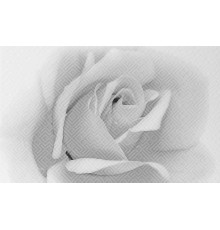 Декор 02 Камелия черный 250х400 мм