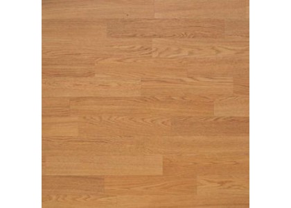 Линолеум спортивное покрытие Rexcourt G-6000 SPF1822 (27 м2) 