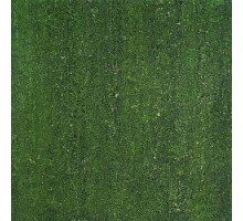 Керамогранит зеленый полир. PW60485 60х60 Китай (1,44м2) (57,6м2) 