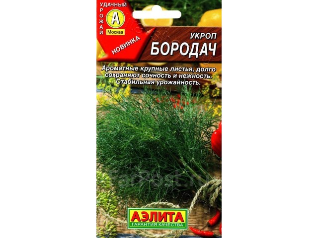 Укроп Бородач 3г (Аэлита)