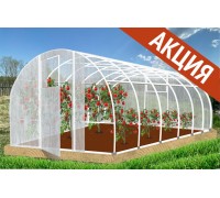 Теплица Кормилица 6х3х2,1м Усиленная с поперечным ребром жесткости, окрашенная, 2 двери