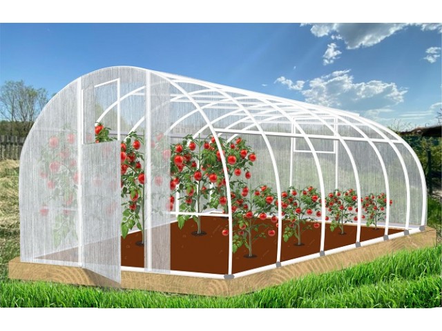 Теплица Кормилица 6х3х2,1м Усиленная с поперечным ребром жесткости, окрашенная, 2 двери