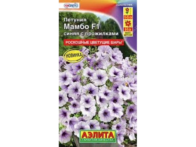 Петуния Мамбо F1 Синяя с прожилками. 7шт (Аэлита)