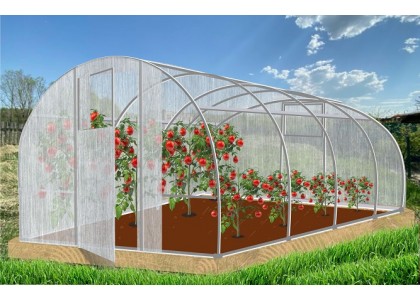 Теплица Кормилица 4х3х2,1м неокрашенная, 2 двери