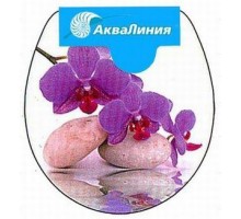 Сиденье для унитаза RY3052 орхидея
